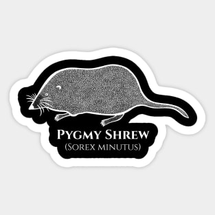 Pygmy Shrew with Common and Scientific Names - animal drawing Sticker